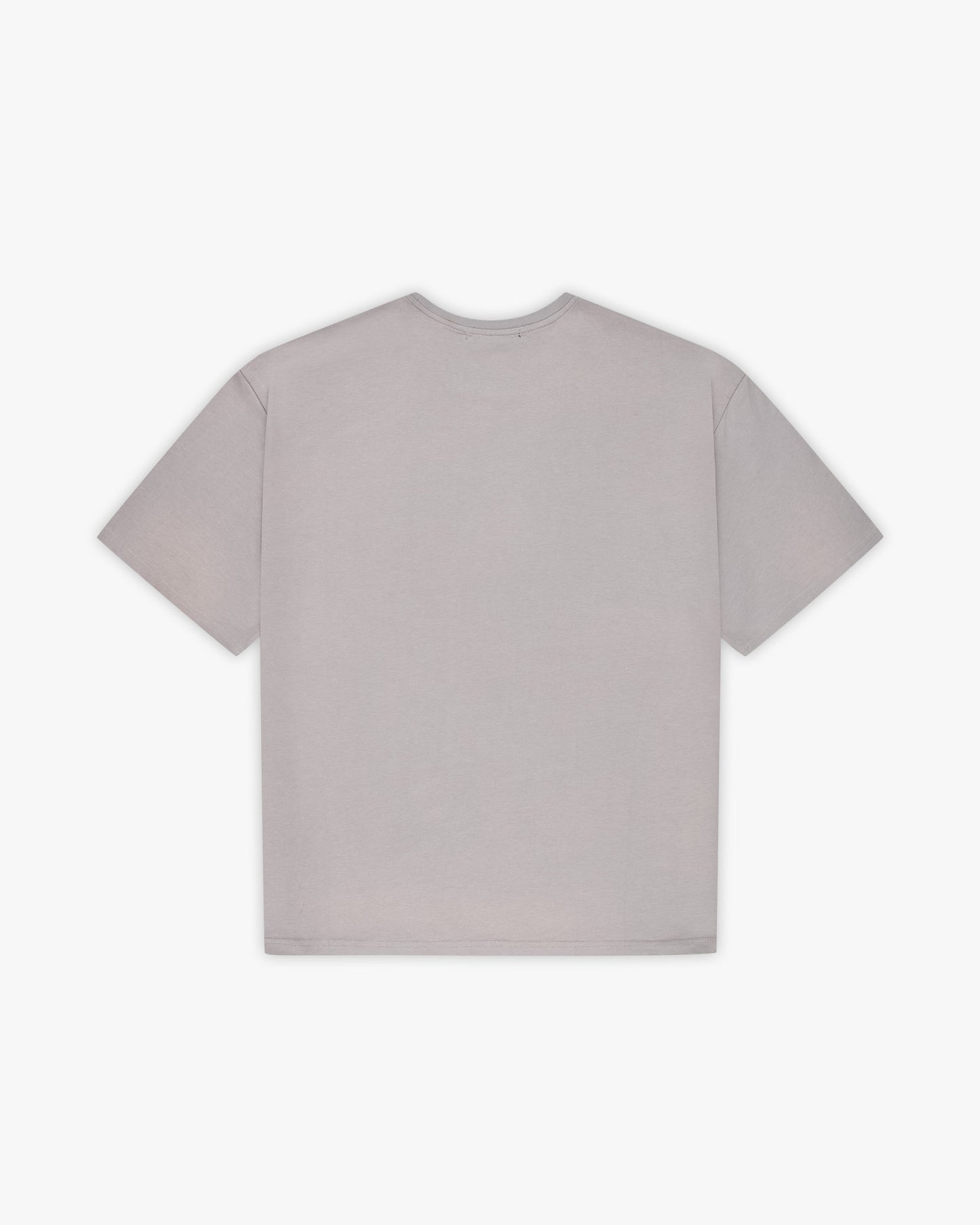 MOUNTAIN TEE GREY